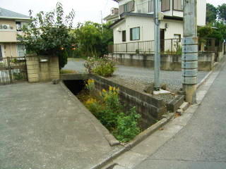 柏町3-5 氷川神社裏手の水路